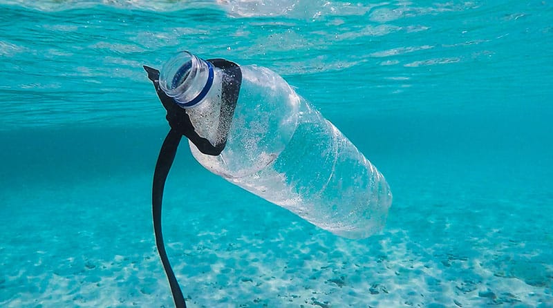 Microplastics