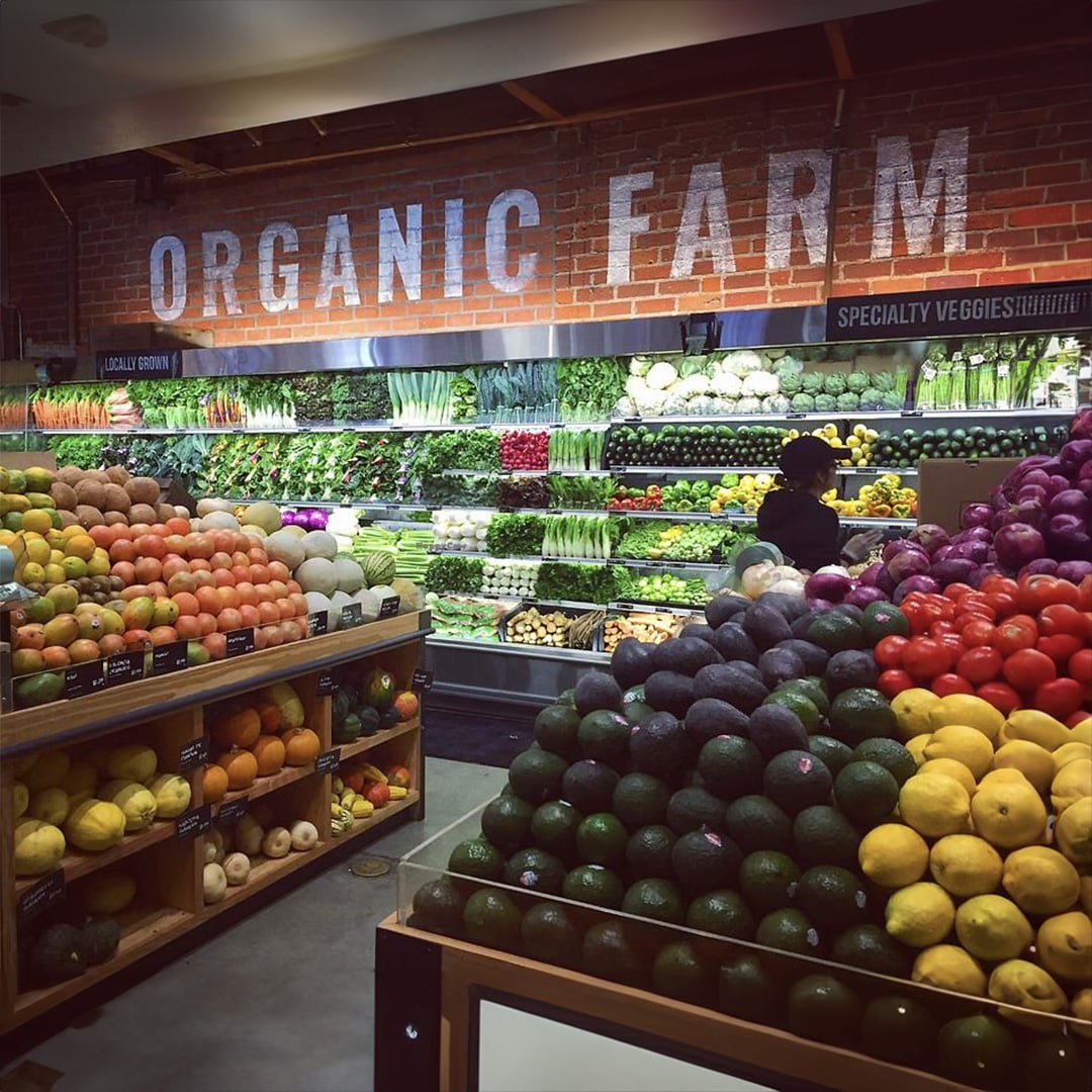Ophora At Erewhon
