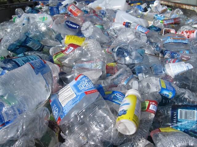 Bottle